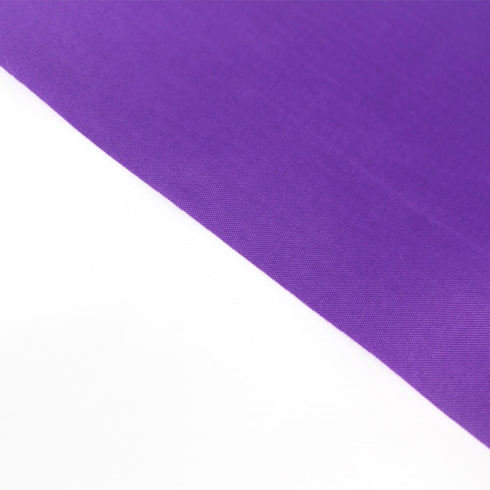 Asexual Pride Flag