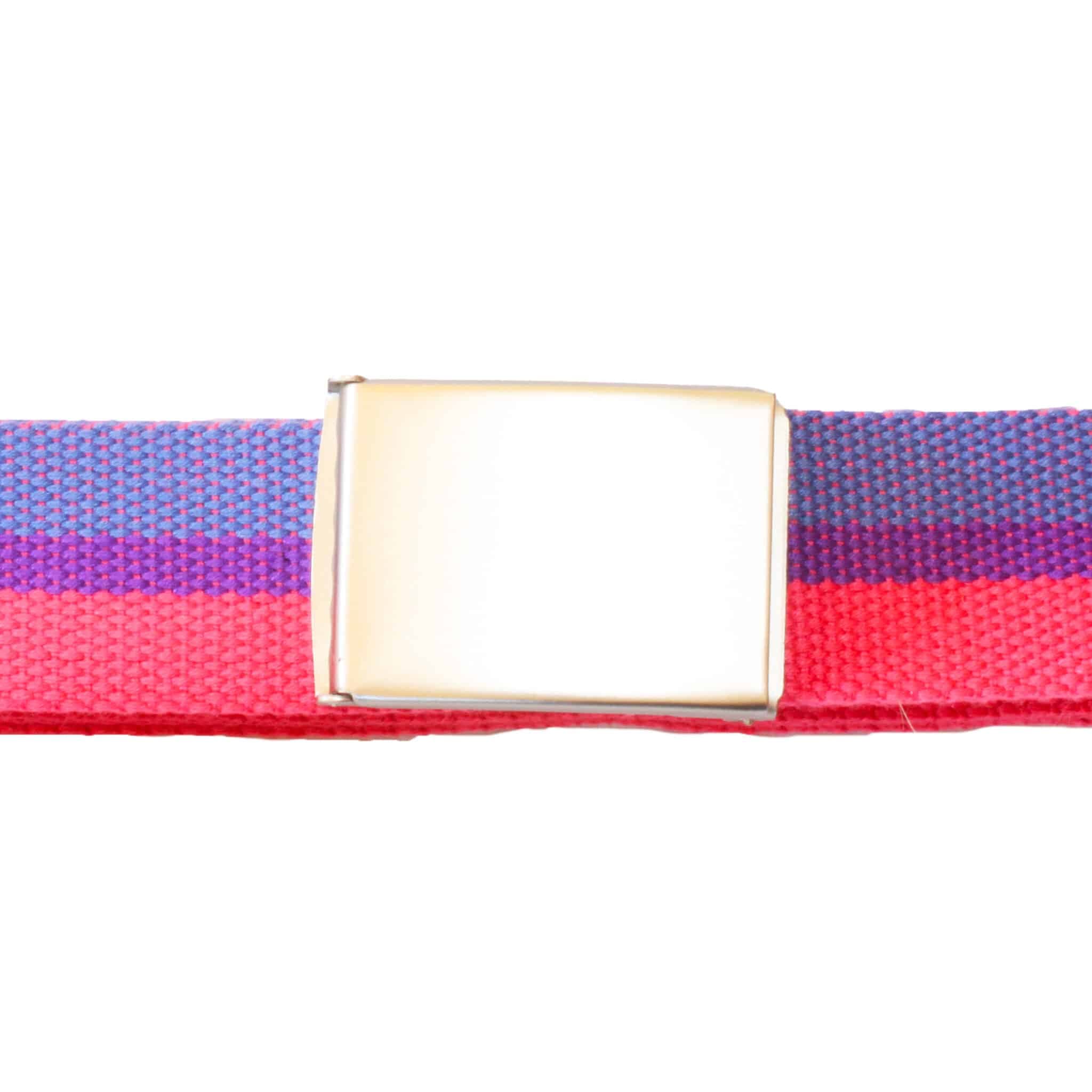 bisexual flag belt flat