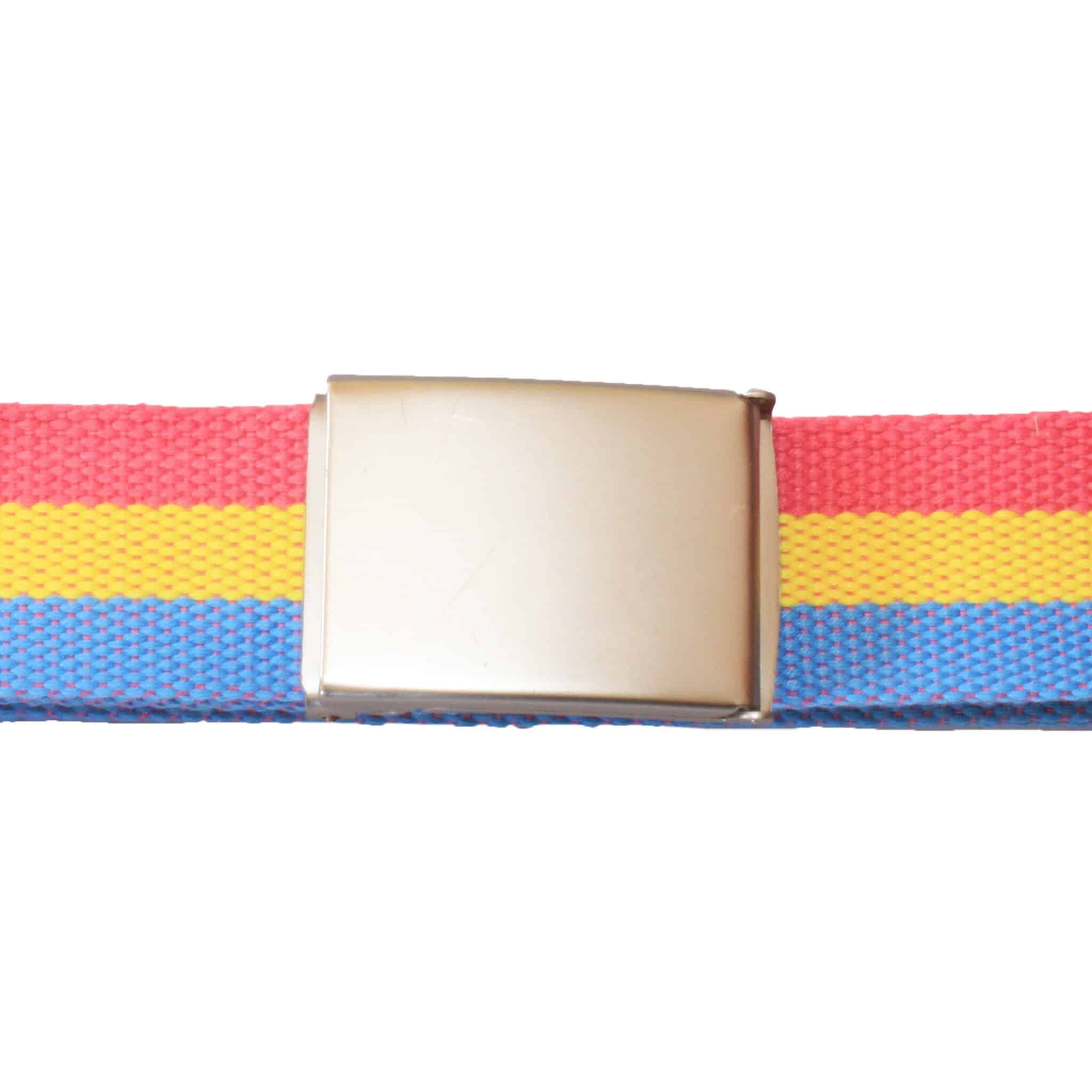 Pansexual pride belt flat