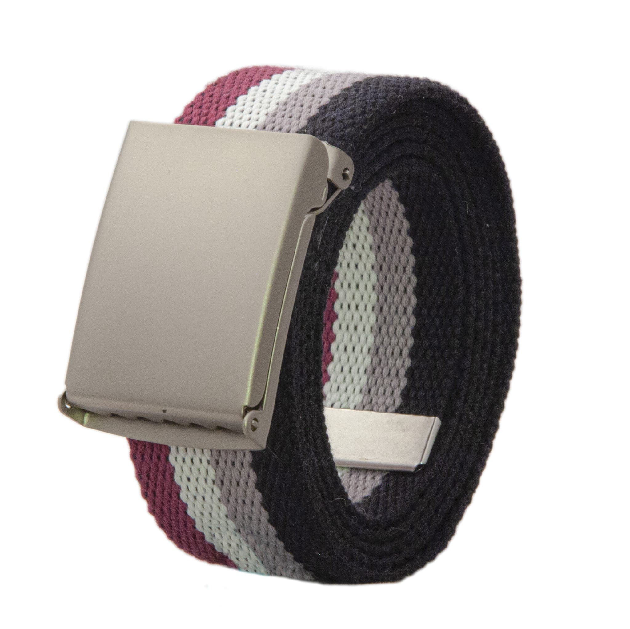 Asexual Flag Pride Belt