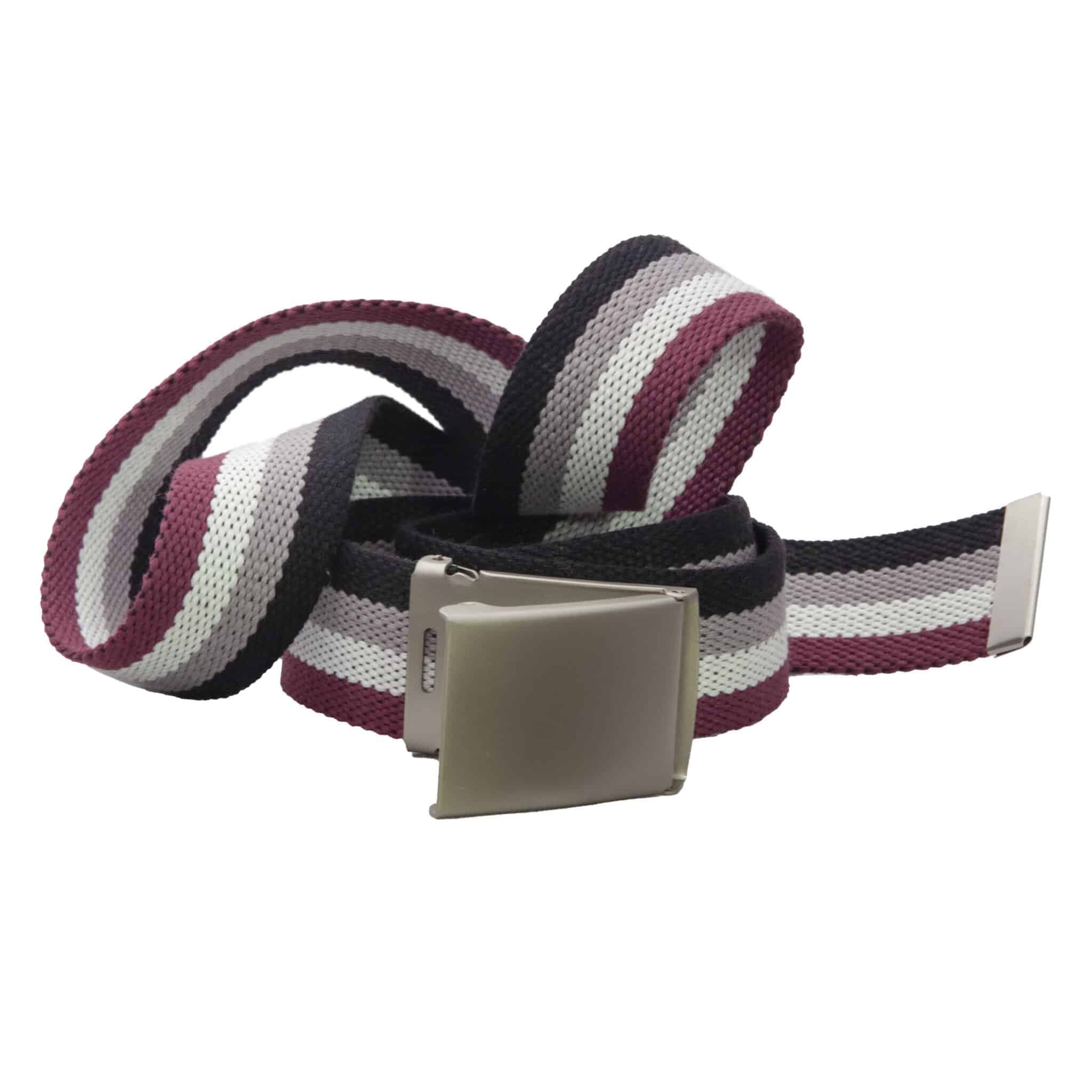 Asexual Flag Pride Belt thumbnail 2
