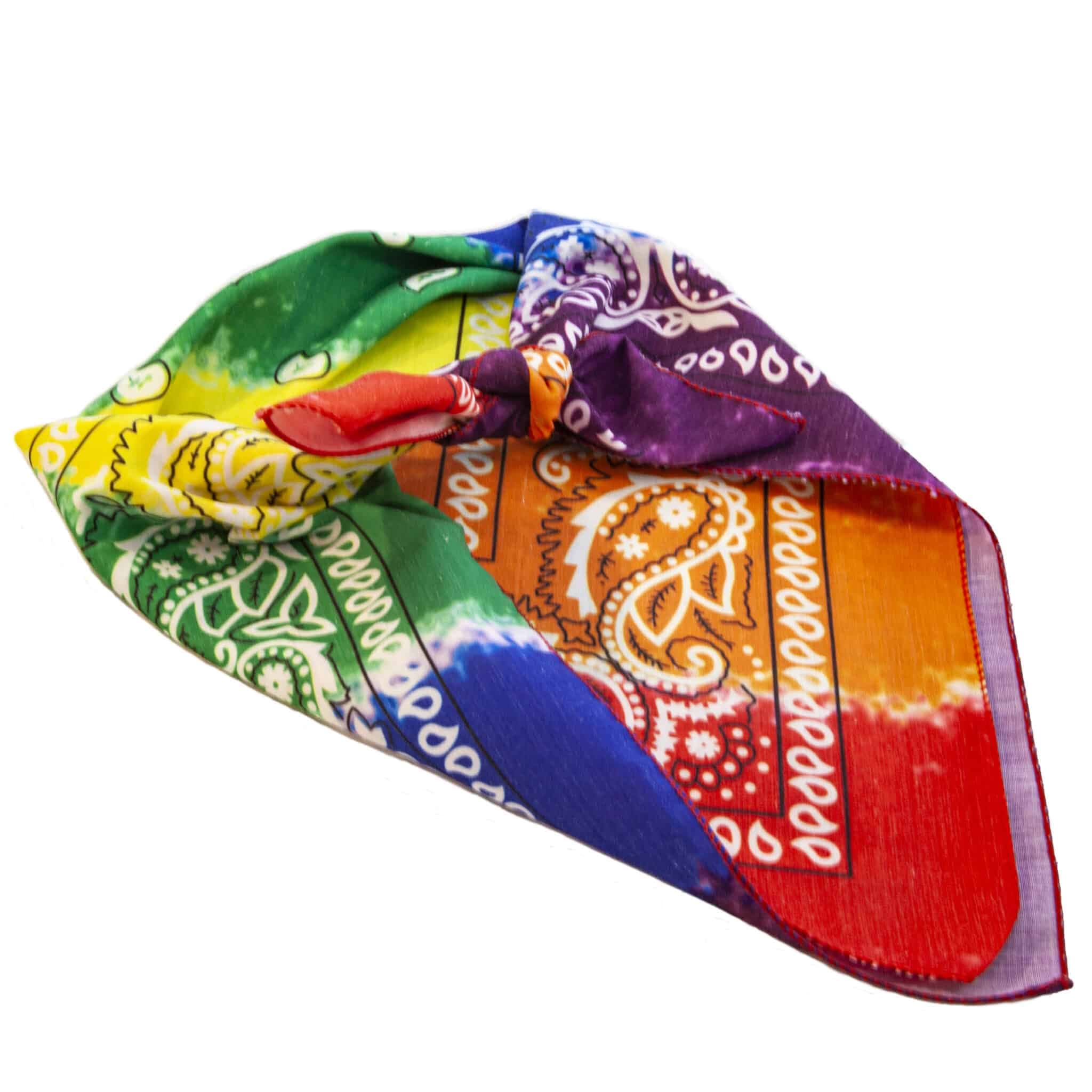 Rainbow Paisley Bandana thumbnail 3