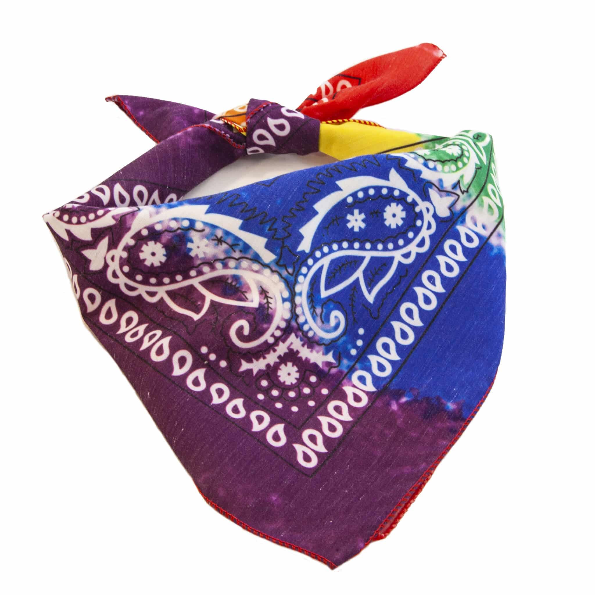 Rainbow Paisley Bandana thumbnail 2