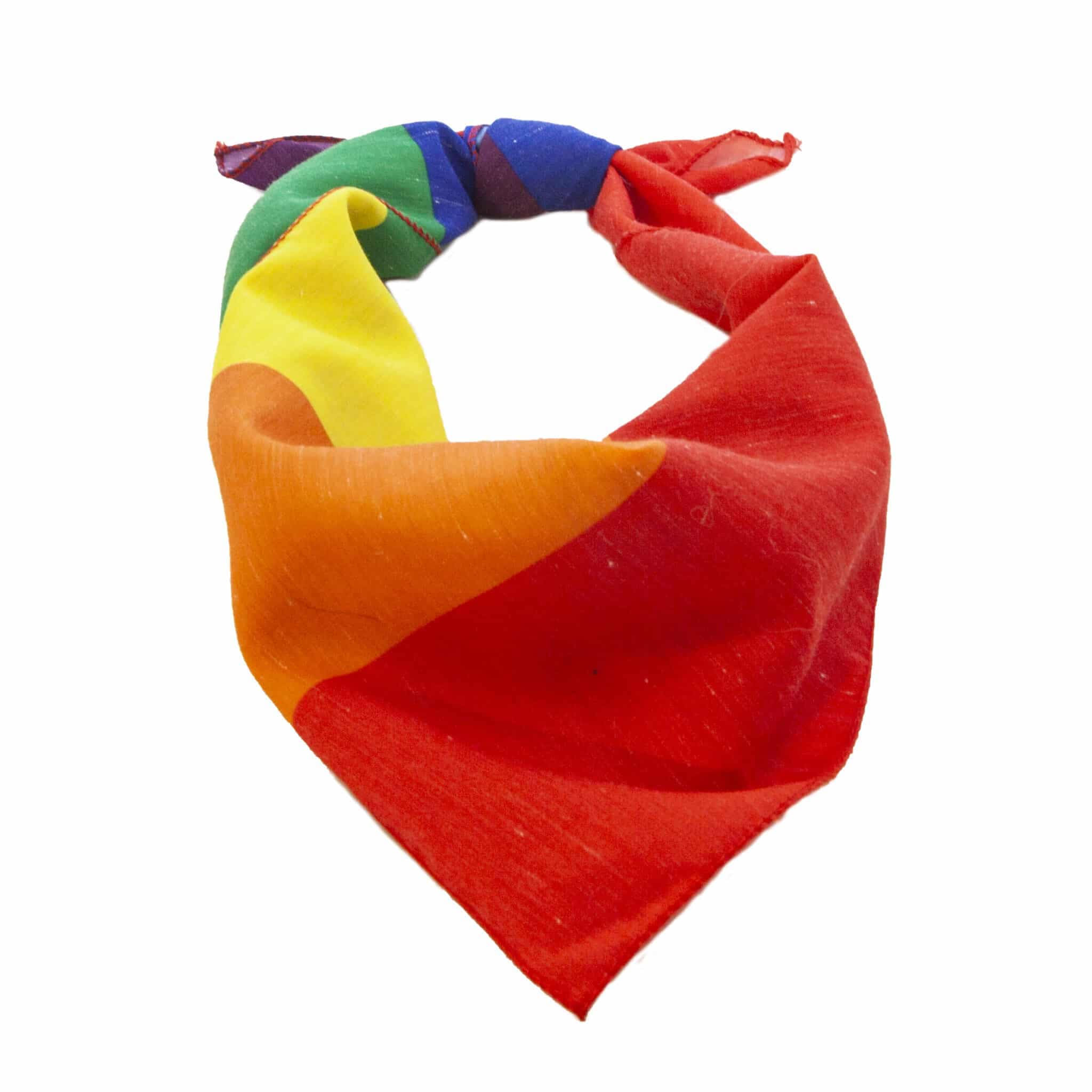 Rainbow Bandana thumbnail 2