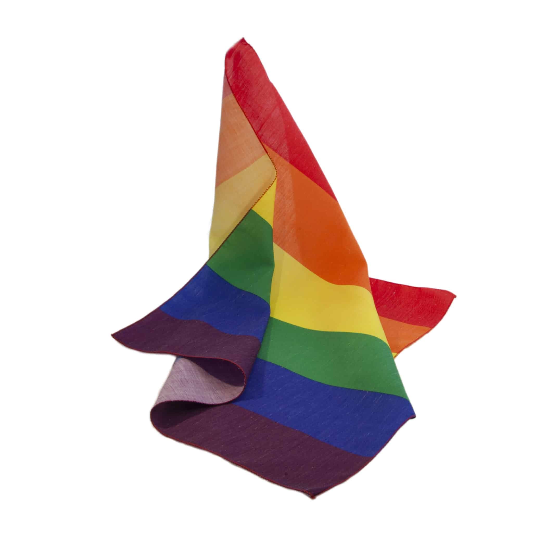 rainbow bandana