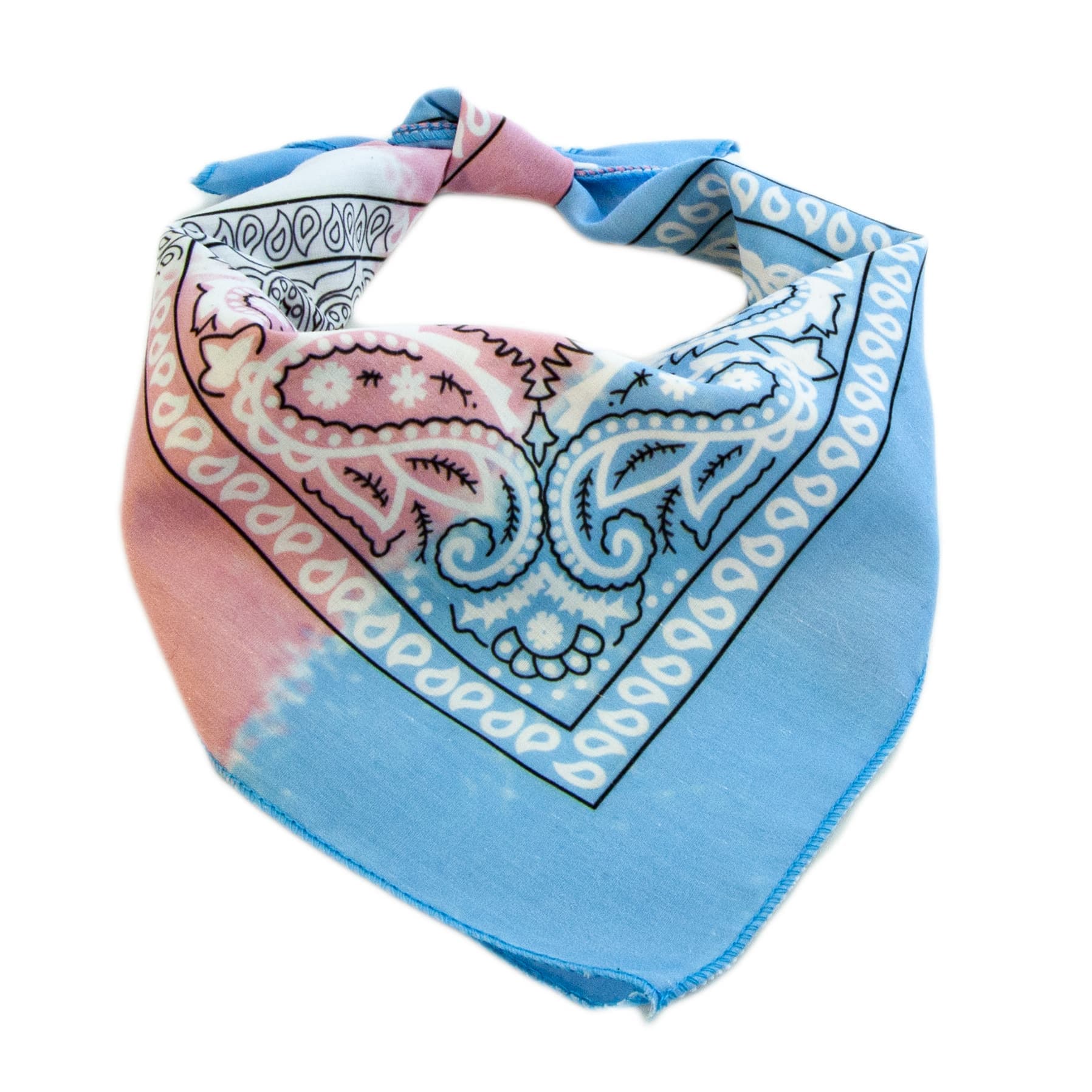 Trans Paisley Bandana