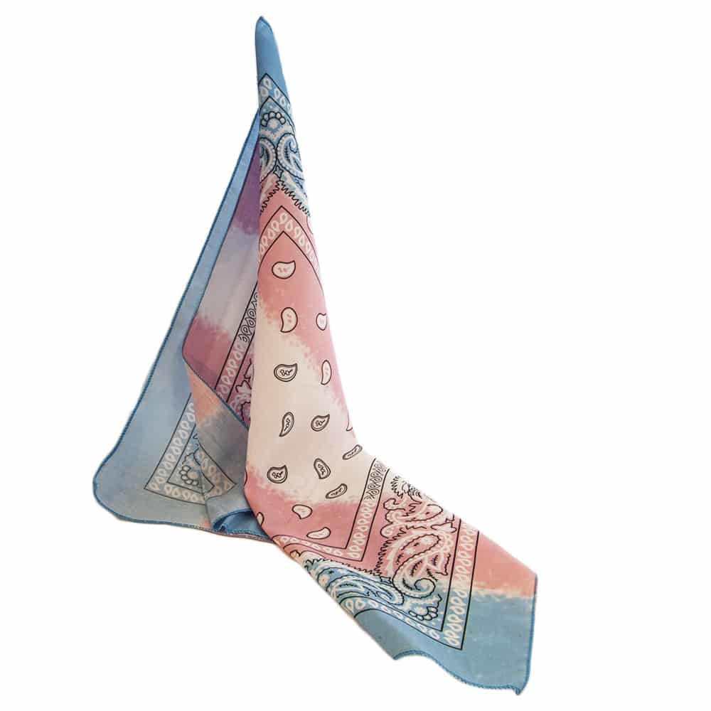 Trans Paisley Bandana