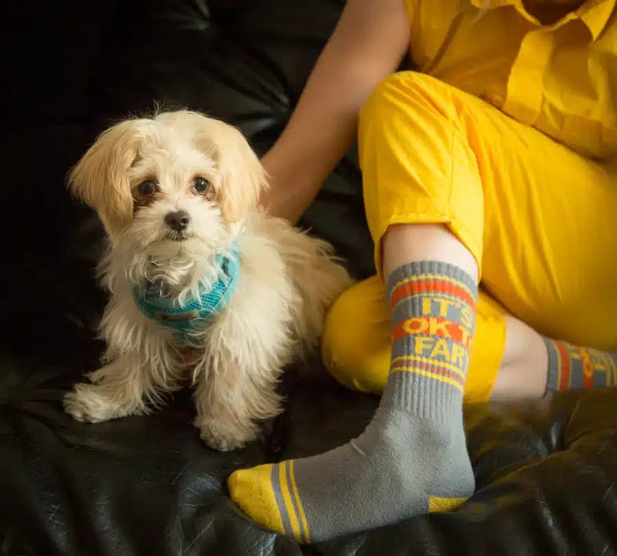 It's OK To Fart Sock thumbnail 2