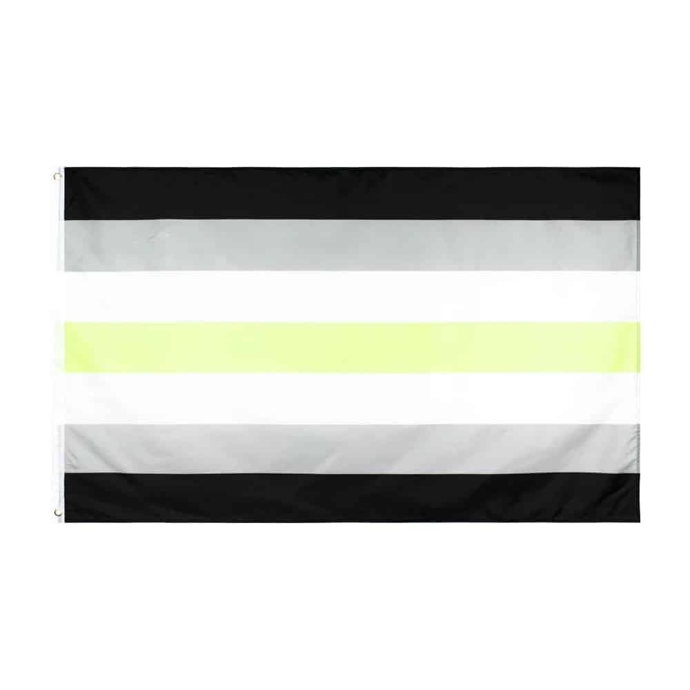 agender pride flag